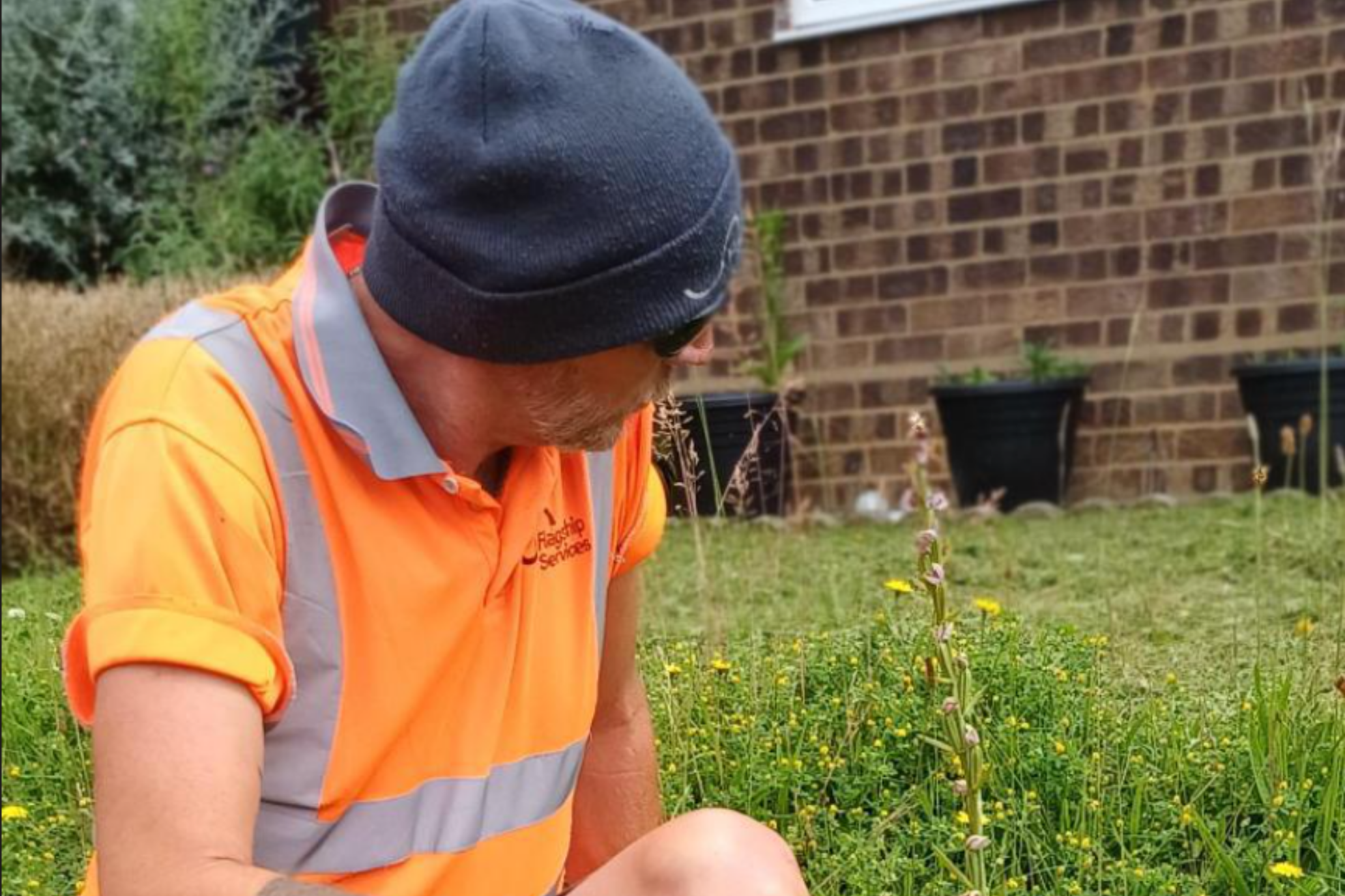 Grounds maintenance operative Gary Baggott next to one of the bee orchids