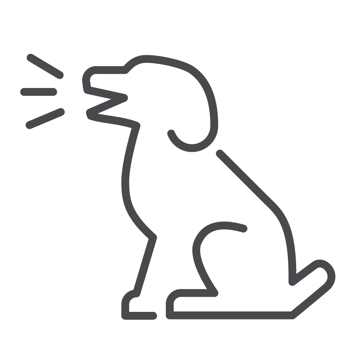 dog icon