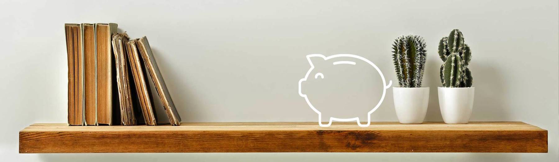 shelf with piggy bank icon