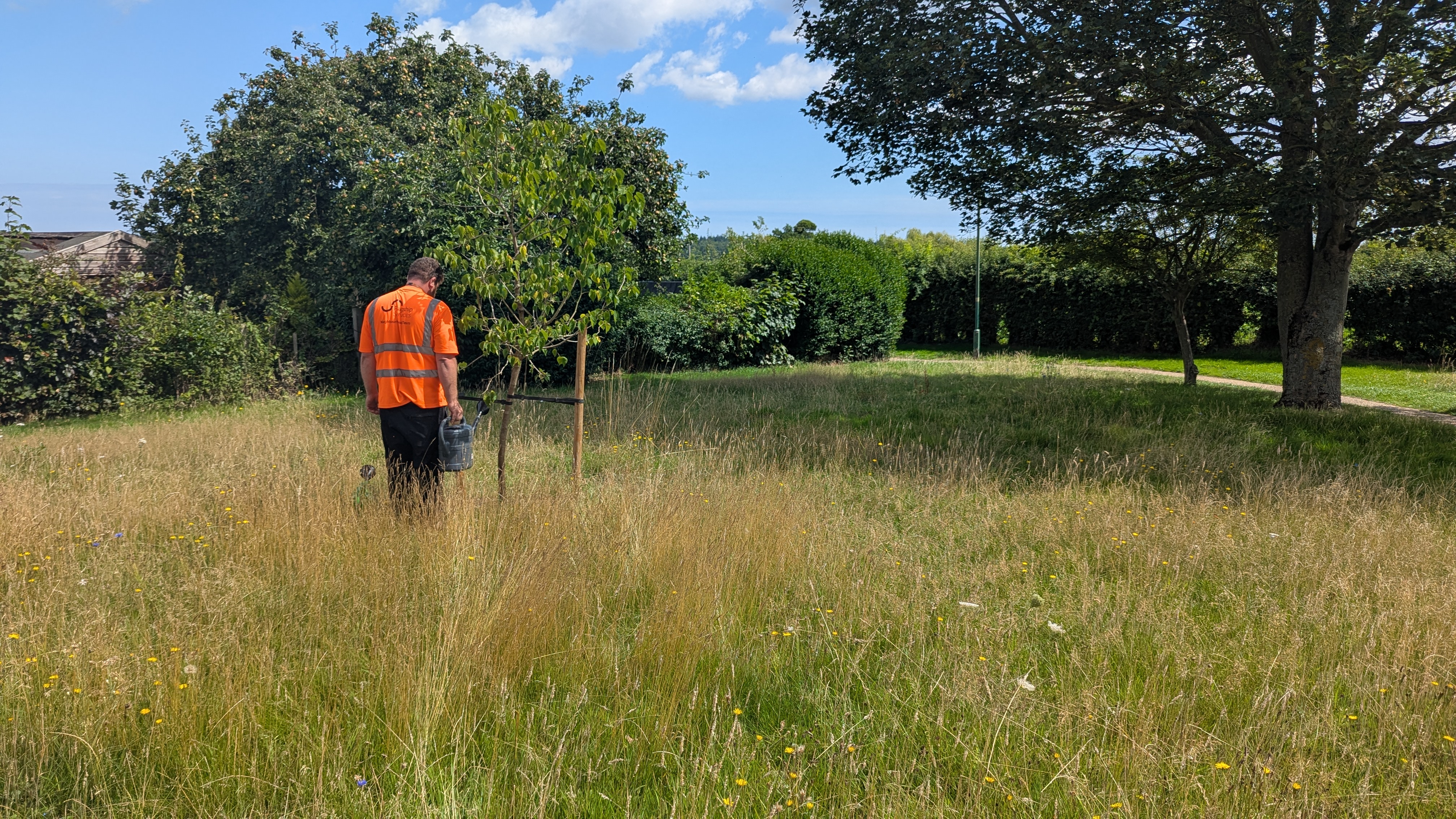Arboriculture technician Michael Waters tends to a wildflower meadow and tree, using recycled water from the bowser