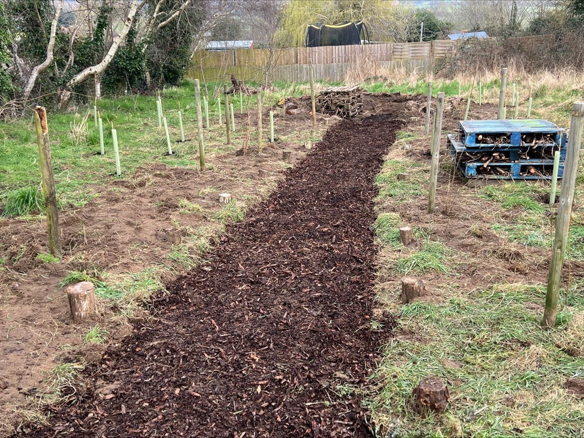 wickham-green-project