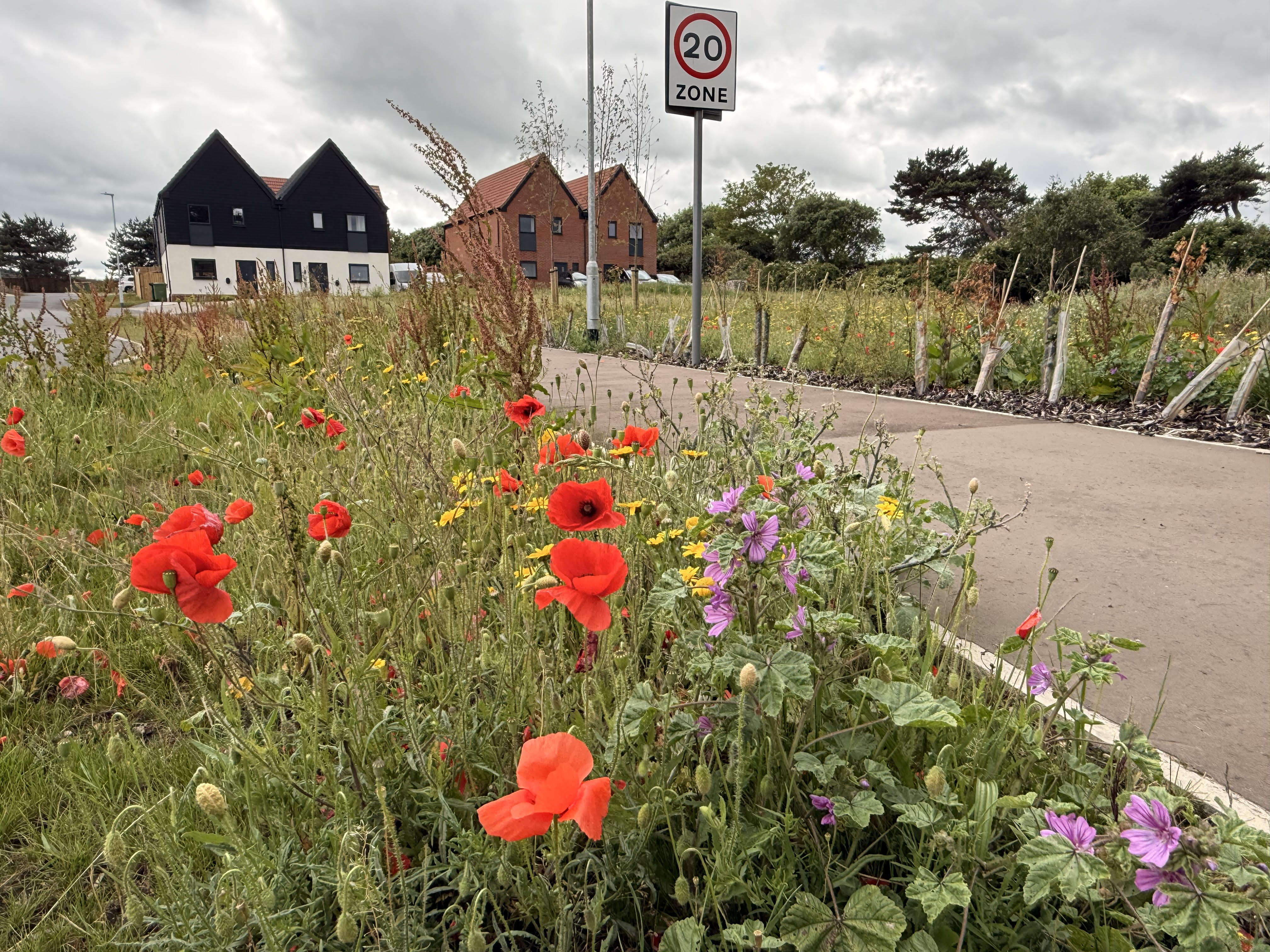 The Sheringham street where locals are staying put