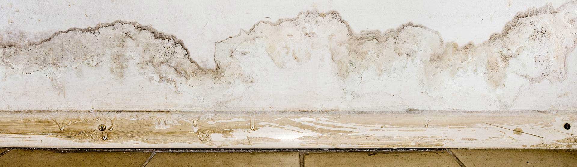 Damp and mould on wall