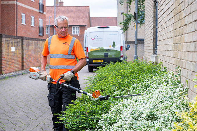 Gardener at work