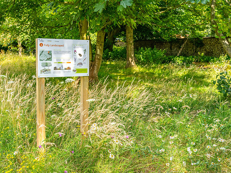 Urban wilding site
